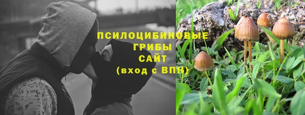 спиды Алексеевка