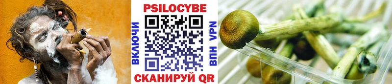 ссылка на мегу ССЫЛКА Егорьевск Галлюциногенные грибы ЛСД где найти
