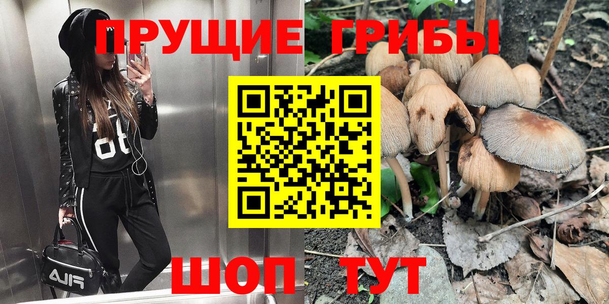 Галлюциногенные грибы Егорьевск
