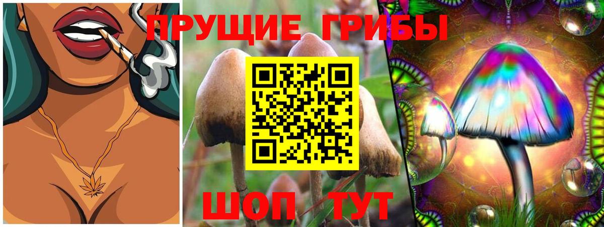Егорьевск  купить наркотики цена  Вход с VPN  Галлюциногенные грибы Magic Shrooms 